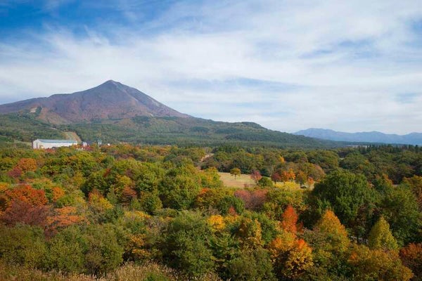 【東京駅・上野駅・大宮駅・小山駅・宇都宮駅・那須塩原駅発】 磐梯山温泉ホテル by 星野リゾートにご宿泊! 絶景のローカル線「只見線」と会津紅葉ハイライト2日間1